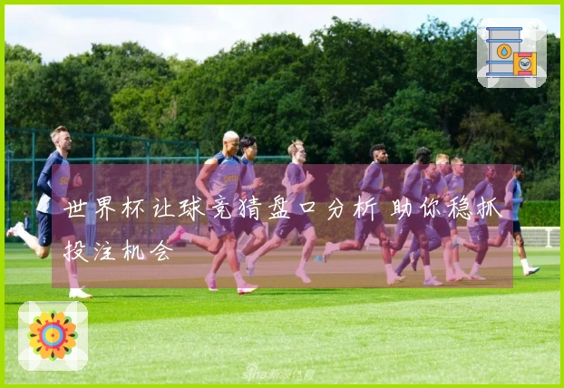 世界杯让球竞猜盘口分析 助你稳抓投注机会