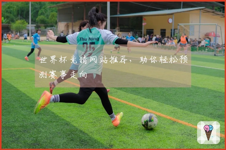 世界杯竞猜网站推荐，助你轻松预测赛事走向