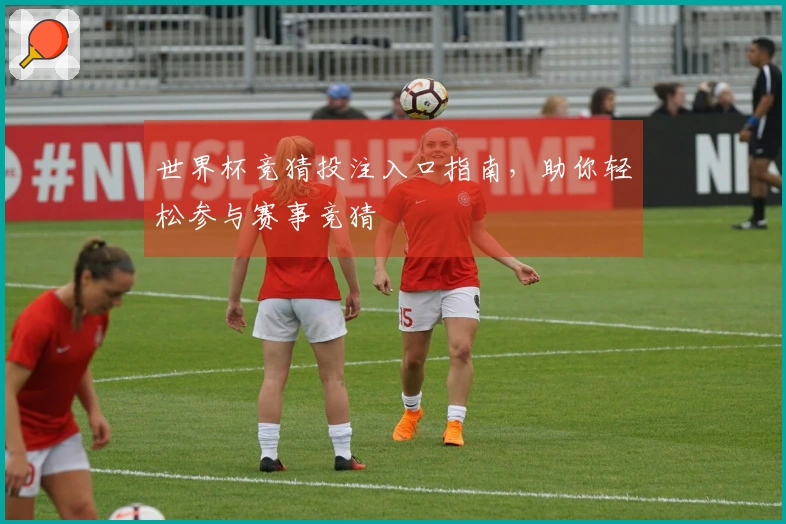 世界杯竞猜投注入口指南，助你轻松参与赛事竞猜