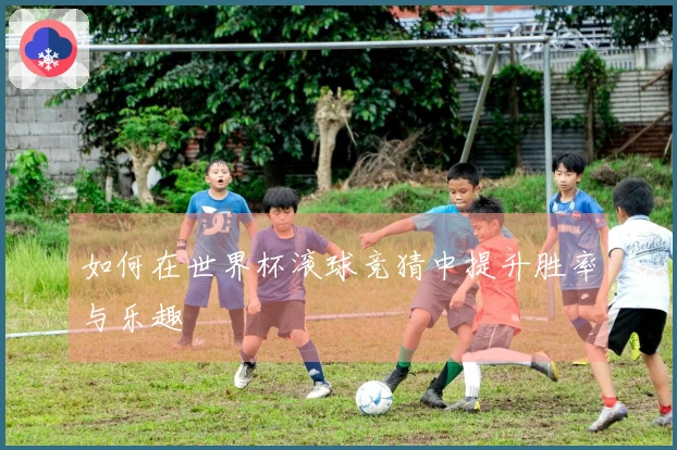 如何在世界杯滚球竞猜中提升胜率与乐趣