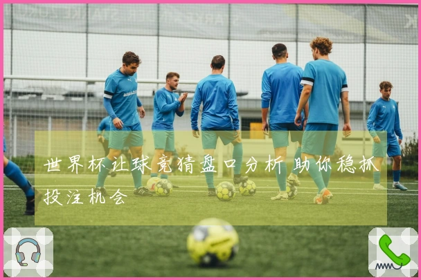 世界杯让球竞猜盘口分析 助你稳抓投注机会